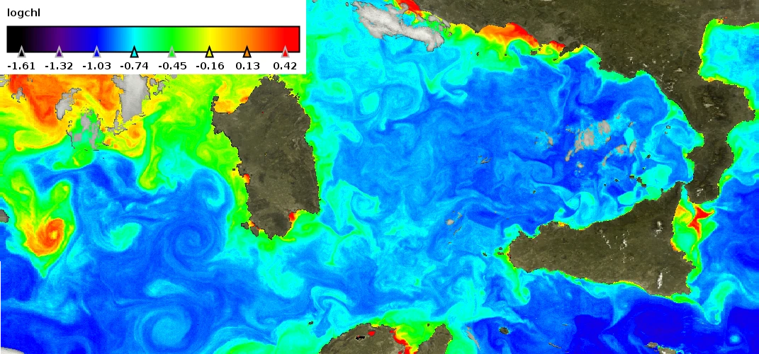 Chlorophyll concentration after processing by Polymer of MERIS image on 1st May 2005 over the Mediterranean Sea
