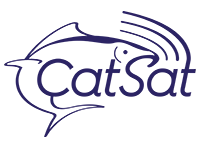 Logo_Catsat logo CatSat