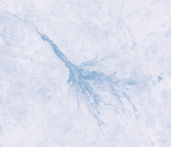 T_Ensemble_20251111_Okavango Canopy transpiration by Ensemble model for the second dekad of November 2025 over Okavango