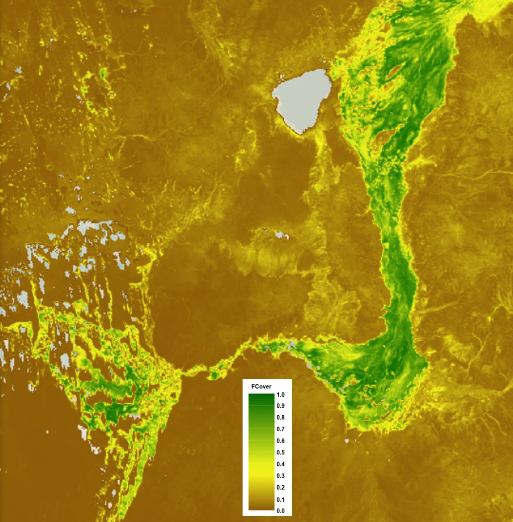 FCOVER over Central Australia, last dekad of November 2025